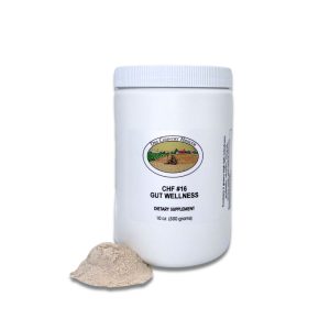 CHF #16 Gut Wellness